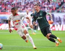 乐鱼官方网站-葡萄牙杯波尔图比赛延期规则